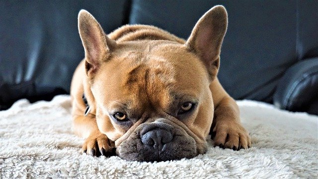 起業するには,起業したい,起業する,起業の仕方,起業セミナー,起業塾,コーチ,コンサル,カウンセラー,セラピスト