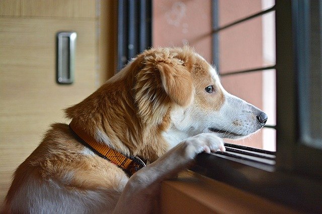 起業するには,起業したい,起業する,起業の仕方,起業セミナー,起業塾,コーチ,コンサル,カウンセラー,セラピスト
